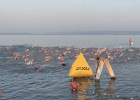 Podersdorf 226 2019